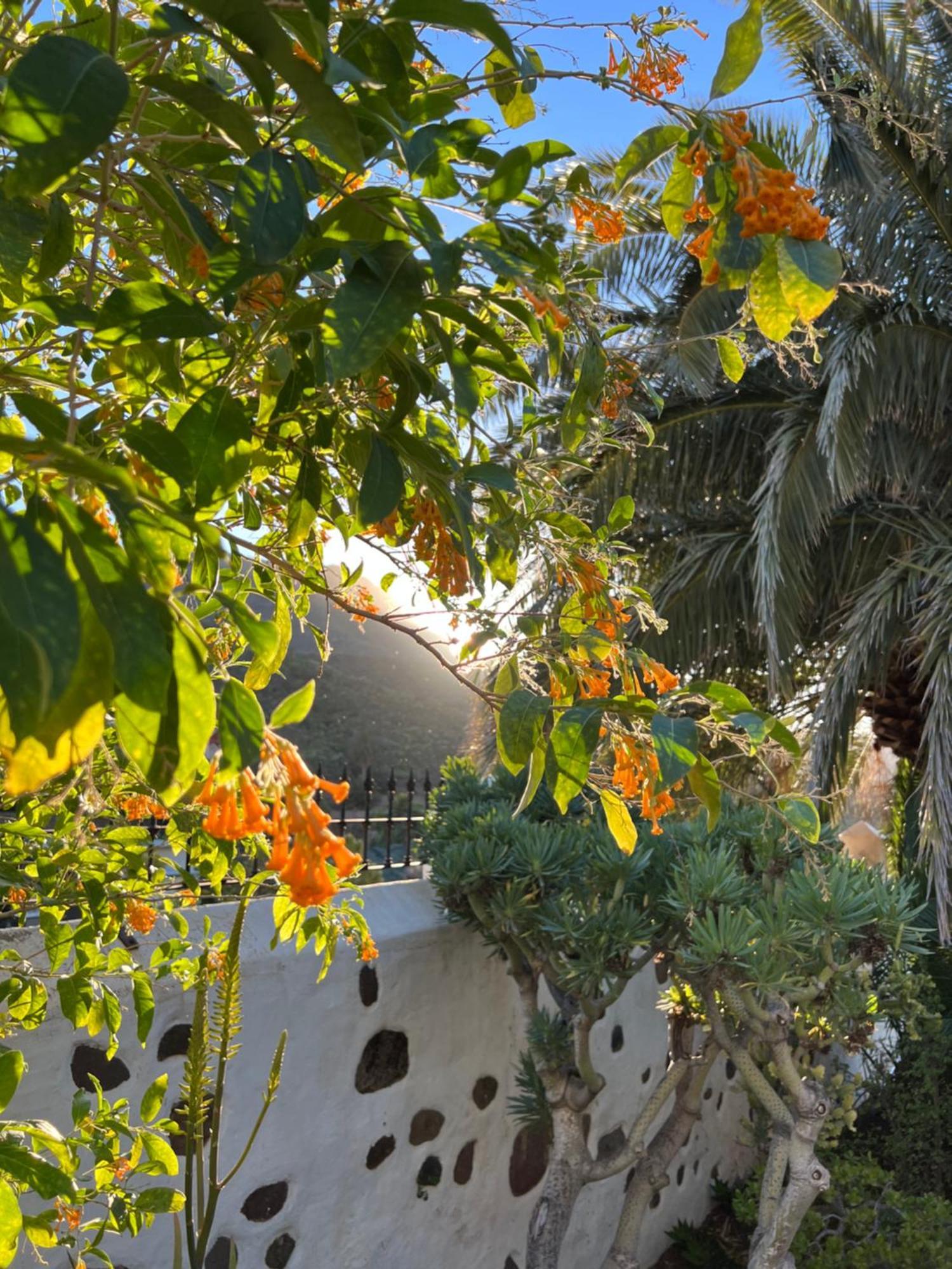 אגאטה Finca Exclusiv La Mareta מראה חיצוני תמונה